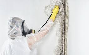 Best Industrial Mold Remediation  in Alexandria, IN